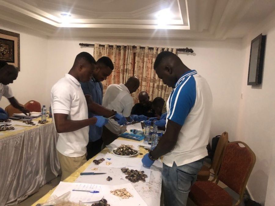 20 GHANA COMMODITY EXCHANGE COMMODITY GRADERS TRAINED TO GRADE CASHEW AND MANAGE QUALITY BY GSA – WITH THE SUPPORT OF UNIDO (GHANA COUNTRY OFFICE) image